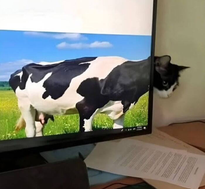 70 Fun, Odd And Interesting Photos That People Needed To Share With The World