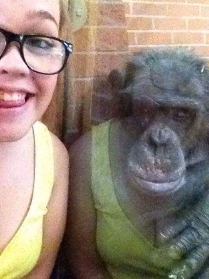 57 Mirror Pics Where The Reflection Ended Up Being Funnier Than The Main Subject