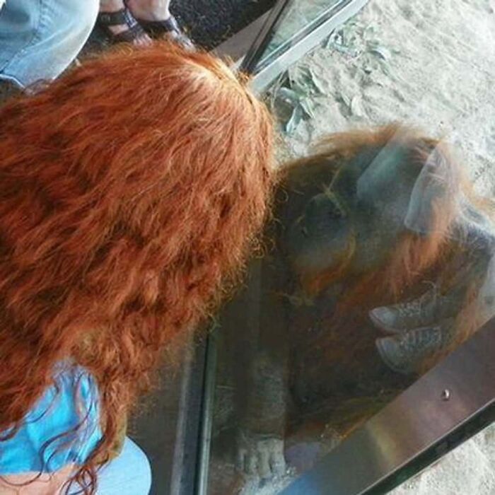 57 Mirror Pics Where The Reflection Ended Up Being Funnier Than The Main Subject