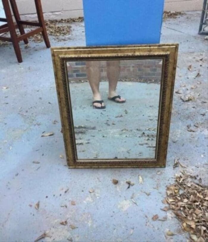 57 Mirror Pics Where The Reflection Ended Up Being Funnier Than The Main Subject