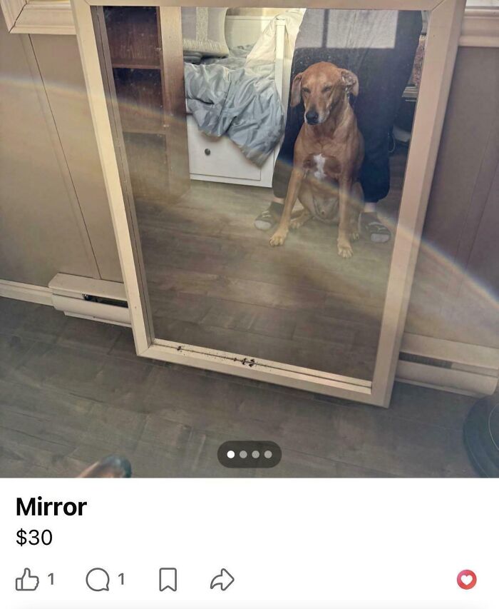 57 Mirror Pics Where The Reflection Ended Up Being Funnier Than The Main Subject