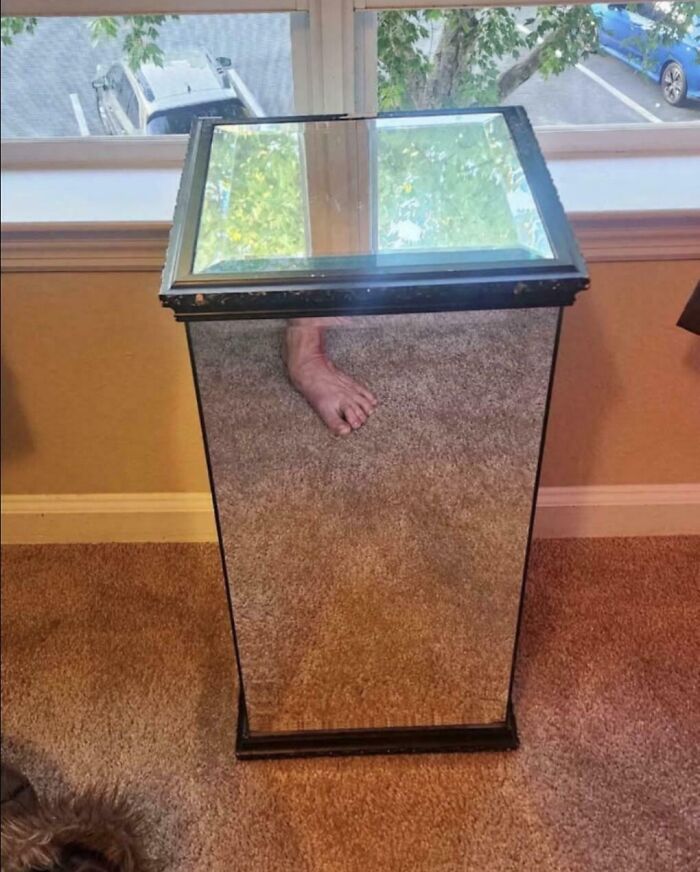 57 Mirror Pics Where The Reflection Ended Up Being Funnier Than The Main Subject