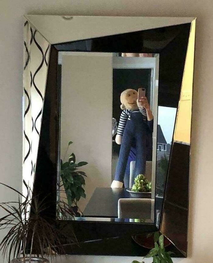 57 Mirror Pics Where The Reflection Ended Up Being Funnier Than The Main Subject