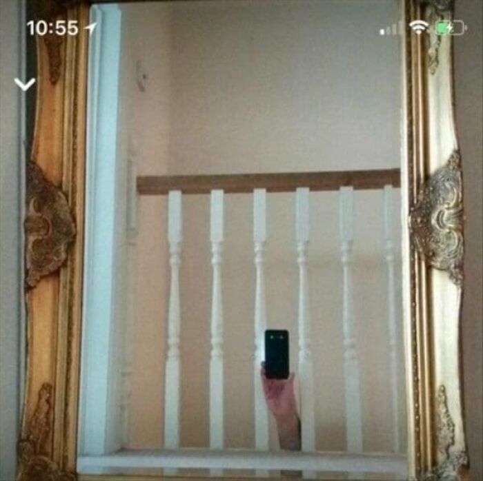57 Mirror Pics Where The Reflection Ended Up Being Funnier Than The Main Subject