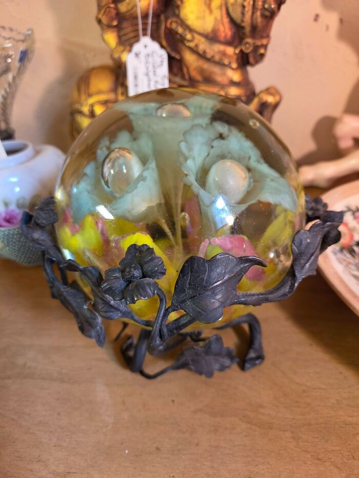 83 Weird And Wonderful Thrift Finds That Prove You Never Know What Might Be Waiting On The Next Shelf