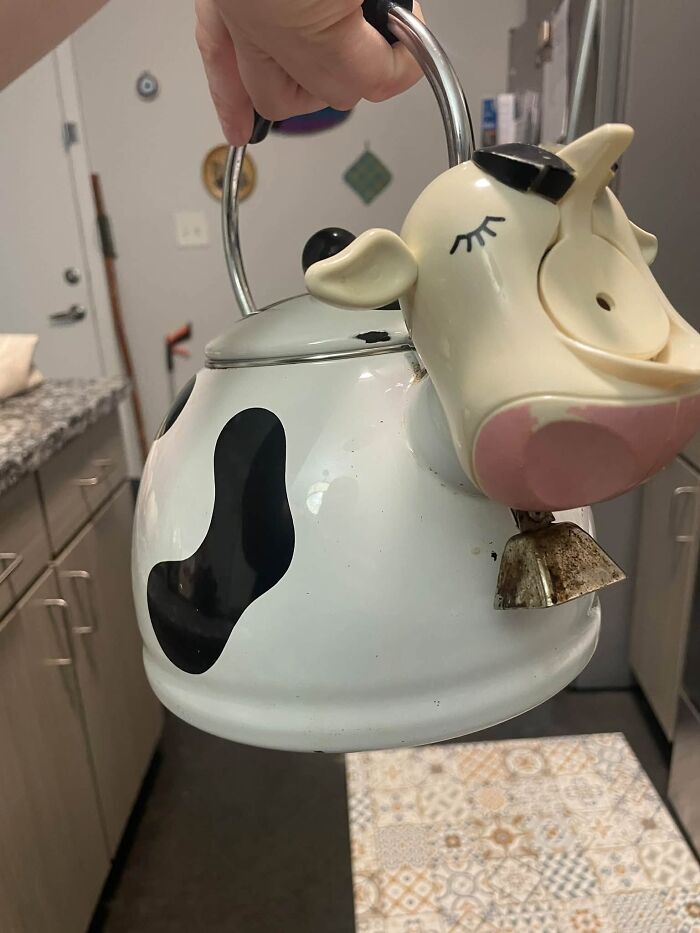 83 Weird And Wonderful Thrift Finds That Prove You Never Know What Might Be Waiting On The Next Shelf