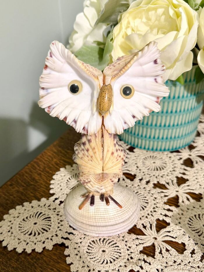 83 Weird And Wonderful Thrift Finds That Prove You Never Know What Might Be Waiting On The Next Shelf