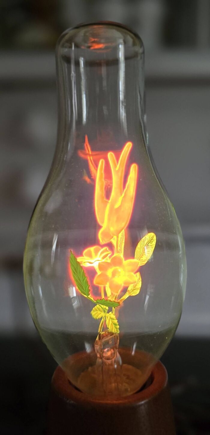 83 Weird And Wonderful Thrift Finds That Prove You Never Know What Might Be Waiting On The Next Shelf
