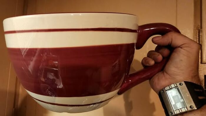 83 Weird And Wonderful Thrift Finds That Prove You Never Know What Might Be Waiting On The Next Shelf