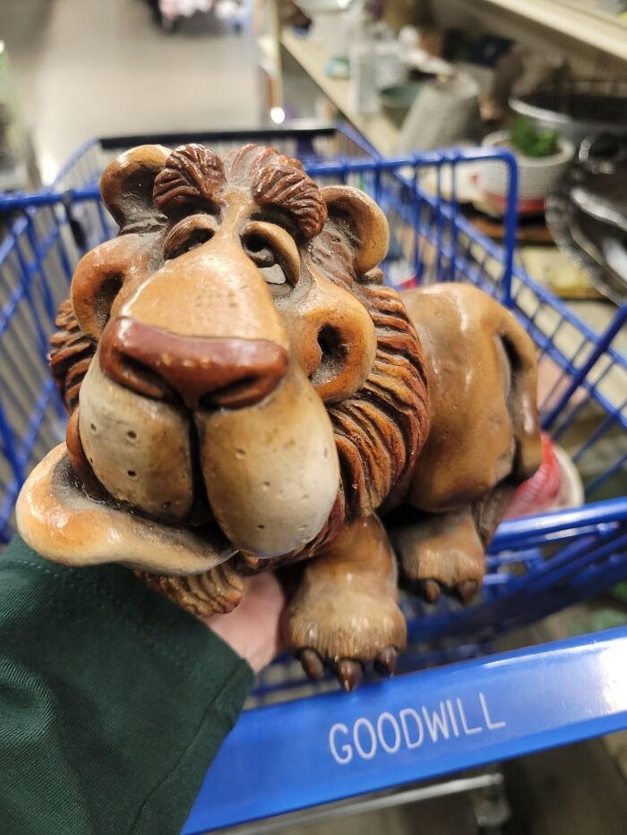 83 Weird And Wonderful Thrift Finds That Prove You Never Know What Might Be Waiting On The Next Shelf