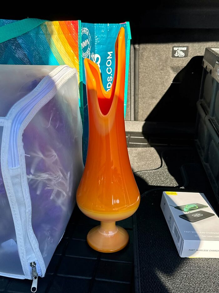 83 Weird And Wonderful Thrift Finds That Prove You Never Know What Might Be Waiting On The Next Shelf