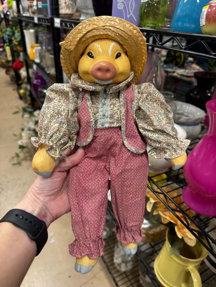 83 Weird And Wonderful Thrift Finds That Prove You Never Know What Might Be Waiting On The Next Shelf