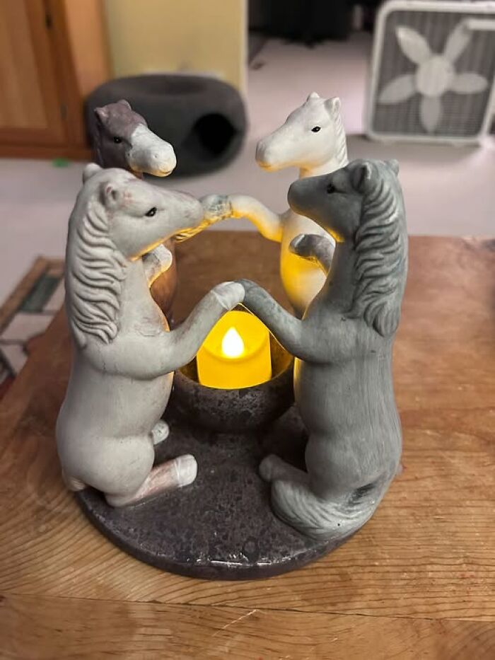 83 Weird And Wonderful Thrift Finds That Prove You Never Know What Might Be Waiting On The Next Shelf