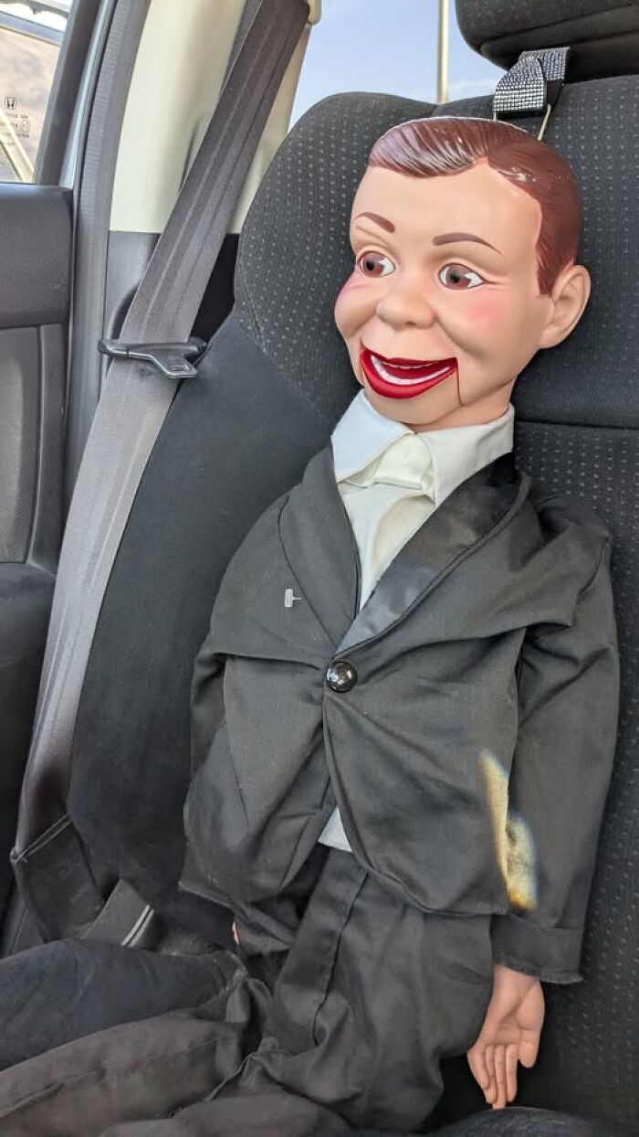 83 Weird And Wonderful Thrift Finds That Prove You Never Know What Might Be Waiting On The Next Shelf
