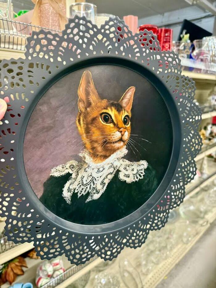 83 Weird And Wonderful Thrift Finds That Prove You Never Know What Might Be Waiting On The Next Shelf