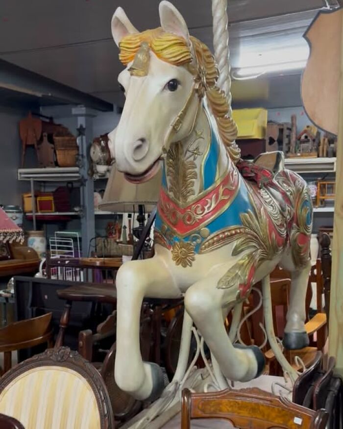 83 Weird And Wonderful Thrift Finds That Prove You Never Know What Might Be Waiting On The Next Shelf