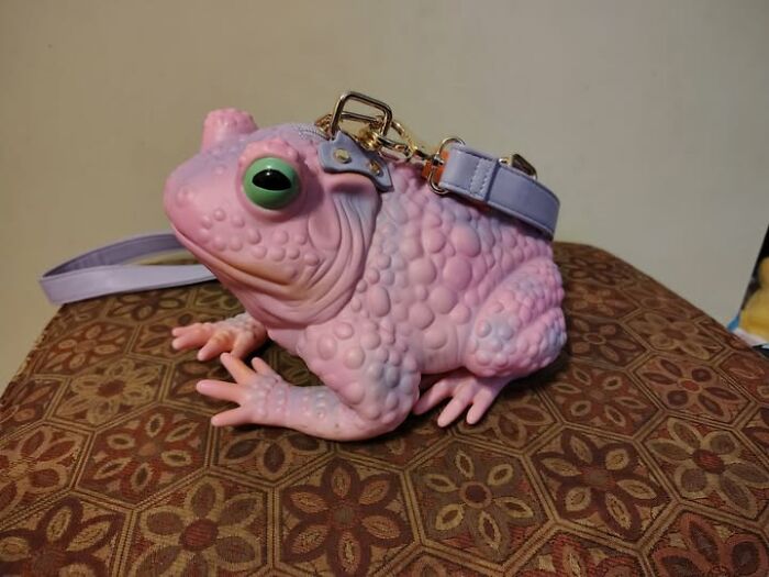 83 Weird And Wonderful Thrift Finds That Prove You Never Know What Might Be Waiting On The Next Shelf