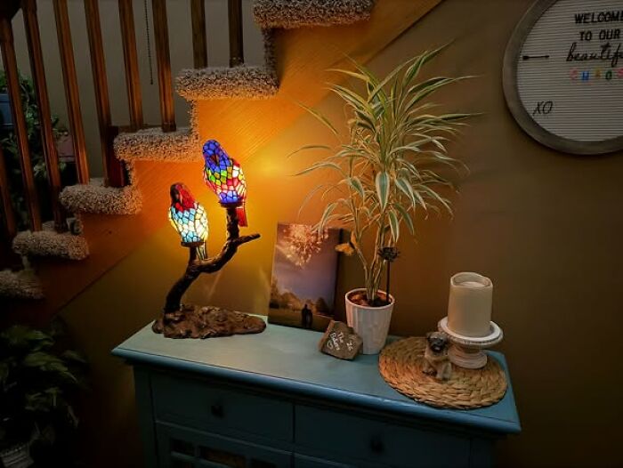 83 Weird And Wonderful Thrift Finds That Prove You Never Know What Might Be Waiting On The Next Shelf