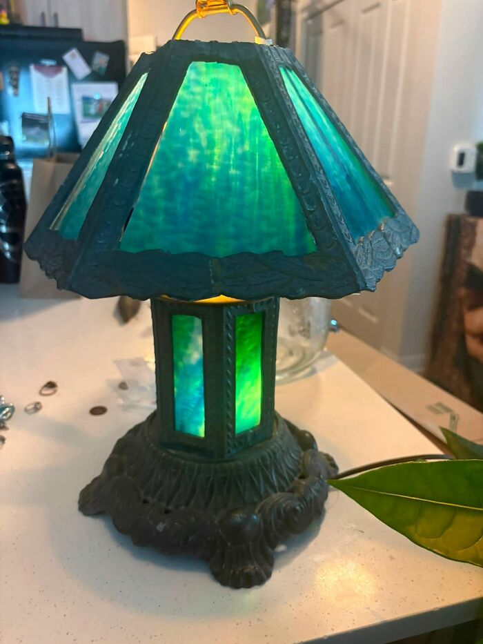 83 Weird And Wonderful Thrift Finds That Prove You Never Know What Might Be Waiting On The Next Shelf