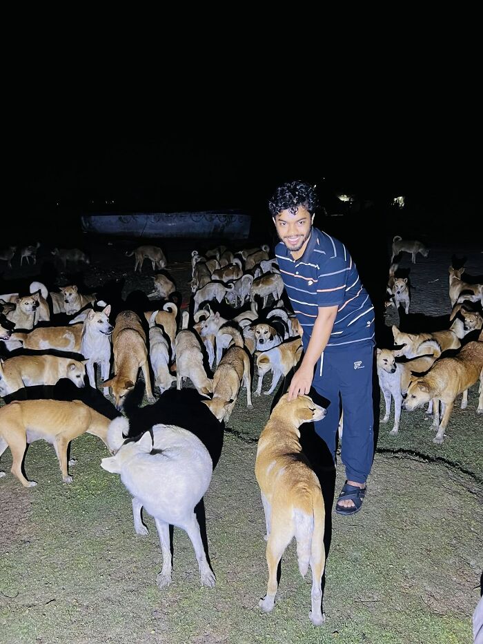 On Saint Martin’s Island, A Tourism Ban Left Dogs Starving, So This Man Feeds Them Every 48 Hours