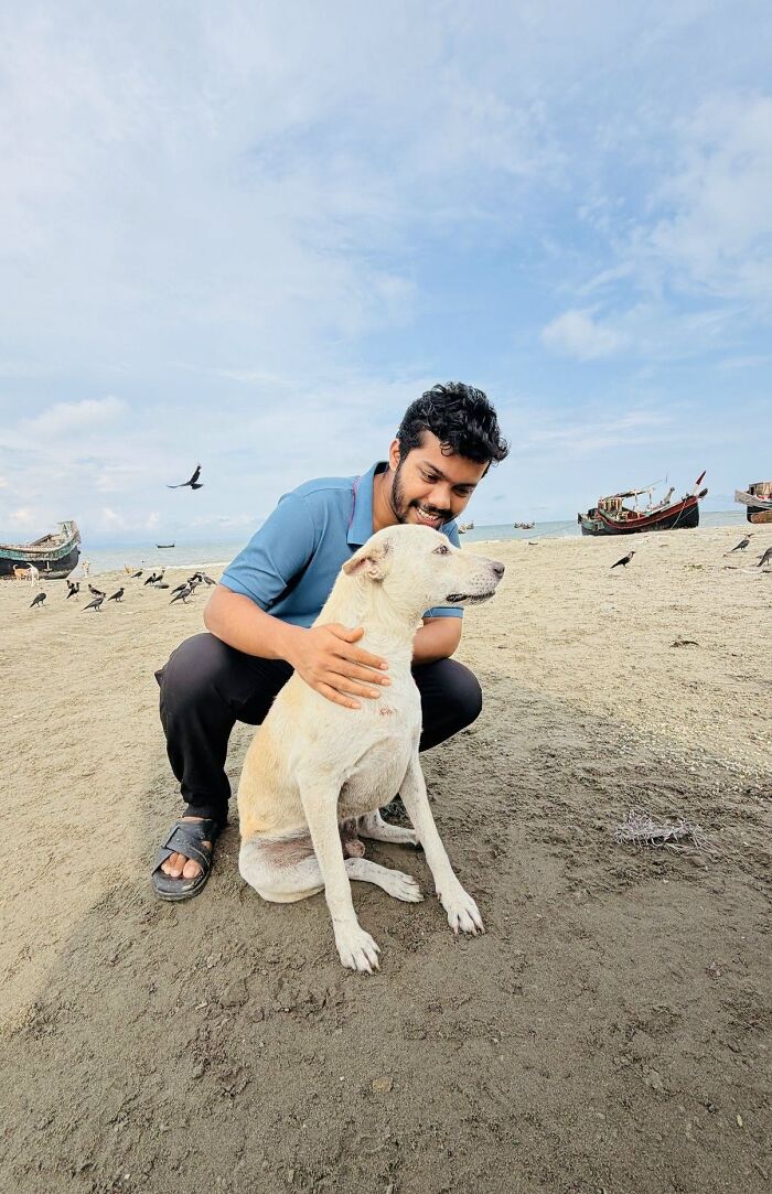 On Saint Martin’s Island, A Tourism Ban Left Dogs Starving, So This Man Feeds Them Every 48 Hours