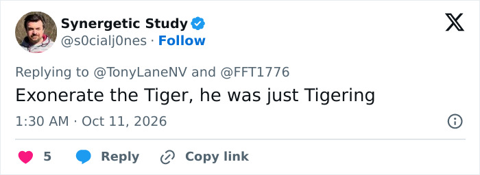 Man&rsquo;s Final Moments Before Entering Tiger Enclosure Revealed As Witness Recalls Bizarre Behavior
