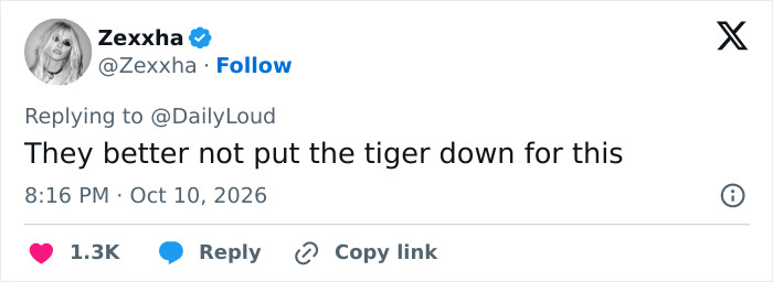 Man&rsquo;s Final Moments Before Entering Tiger Enclosure Revealed As Witness Recalls Bizarre Behavior