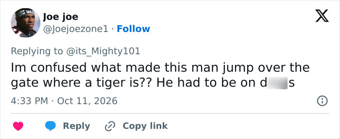 Man&rsquo;s Final Moments Before Entering Tiger Enclosure Revealed As Witness Recalls Bizarre Behavior