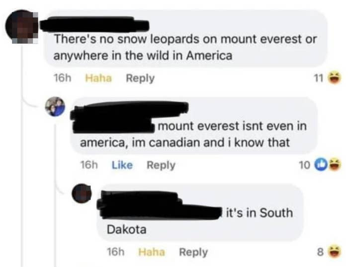 Some Americans Shouldn’t Use Their Freedom Of Speech, And These Images Prove It (99 Examples) Some Americans Shouldn’t Use Their Freedom Of Speech, And These Images Prove It (99 Examples)