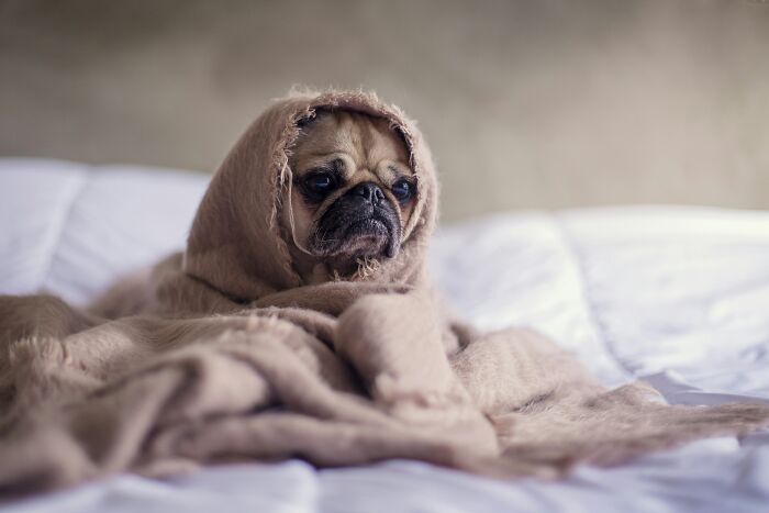 48 Airbnb Stories That Might Make You Very Glad You’re Not The Host 48 Airbnb Stories That Might Make You Very Glad You’re Not The Host