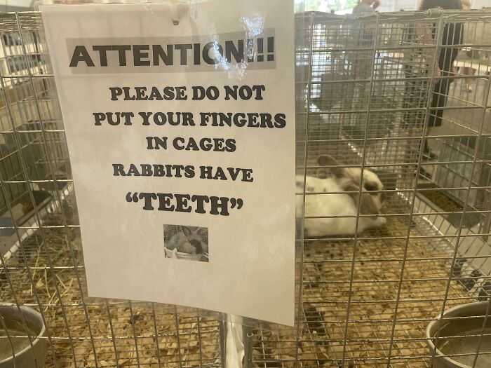 63 Hilarious And Concerning Times People Misused Quotation Marks And Made It Weird 63 Hilarious And Concerning Times People Misused Quotation Marks And Made It Weird