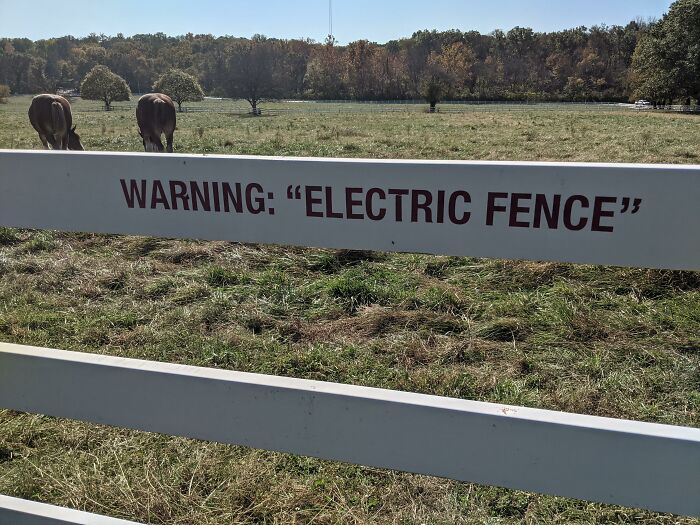 63 Hilarious And Concerning Times People Misused Quotation Marks And Made It Weird 63 Hilarious And Concerning Times People Misused Quotation Marks And Made It Weird