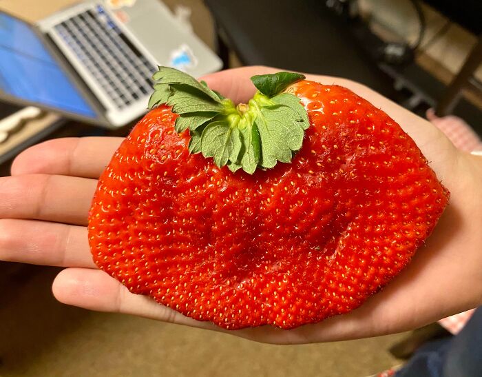 90 Strange Photos That Might Convince You Somebody Forgot To Install Reality&rsquo;s Latest Software Update