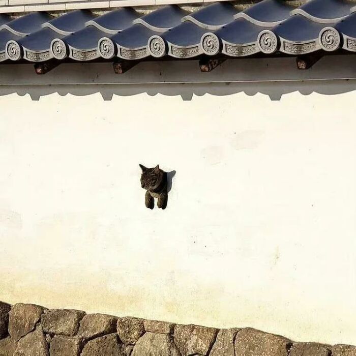 90 Strange Photos That Might Convince You Somebody Forgot To Install Reality&rsquo;s Latest Software Update