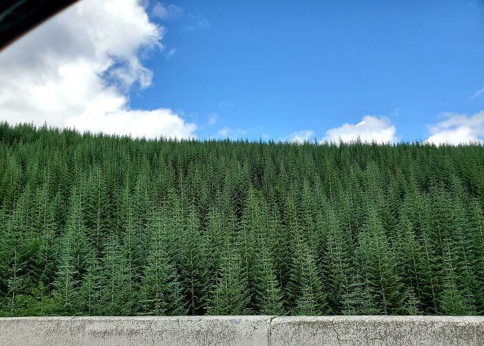 90 Strange Photos That Might Convince You Somebody Forgot To Install Reality&rsquo;s Latest Software Update