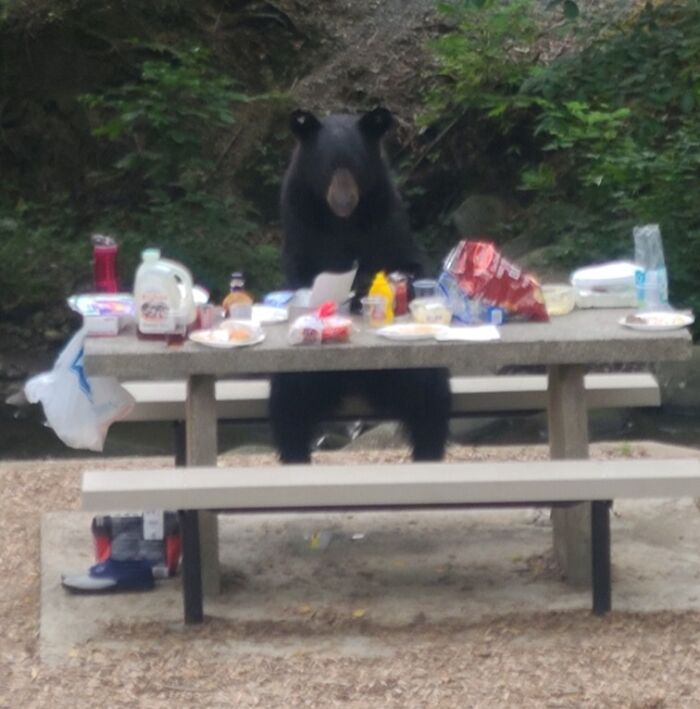90 Strange Photos That Might Convince You Somebody Forgot To Install Reality&rsquo;s Latest Software Update