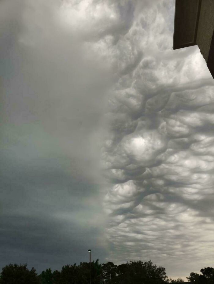 90 Strange Photos That Might Convince You Somebody Forgot To Install Reality&rsquo;s Latest Software Update