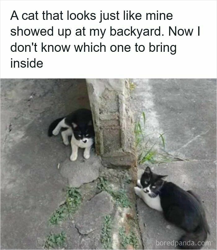 90 Strange Photos That Might Convince You Somebody Forgot To Install Reality&rsquo;s Latest Software Update