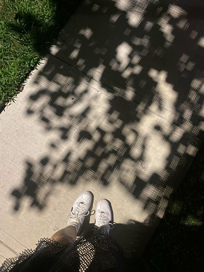 90 Strange Photos That Might Convince You Somebody Forgot To Install Reality&rsquo;s Latest Software Update