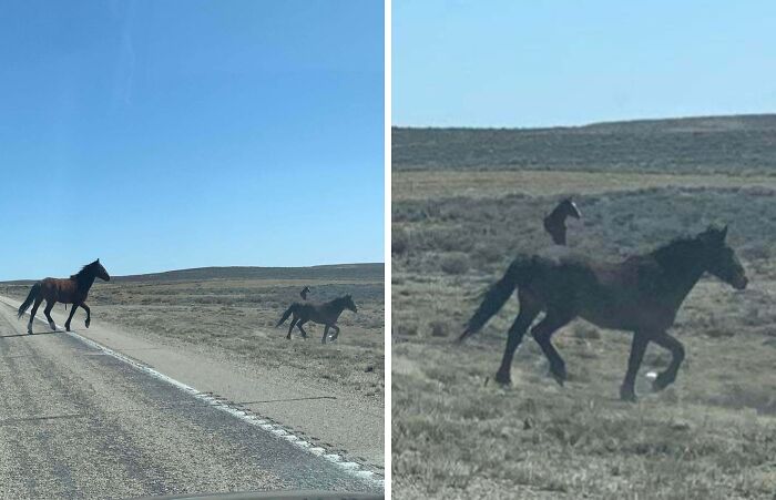 90 Strange Photos That Might Convince You Somebody Forgot To Install Reality&rsquo;s Latest Software Update