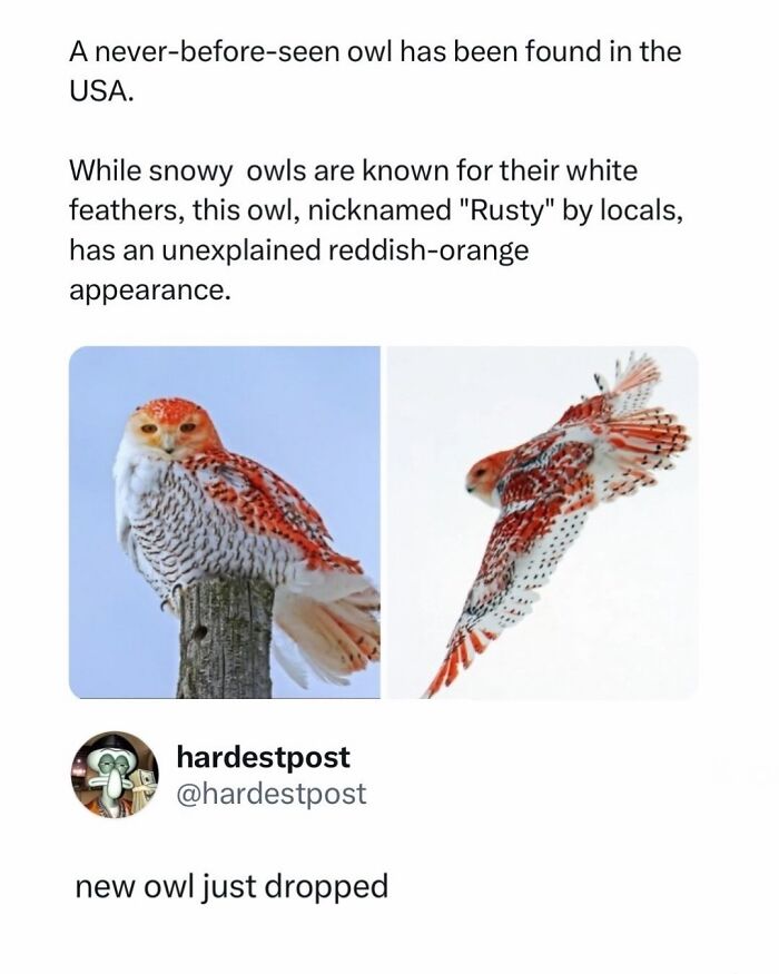 80 Funny And Random Posts That Took The Internet’s Weirdness To Another Level (New Pics) 80 Funny And Random Posts That Took The Internet’s Weirdness To Another Level (New Pics)