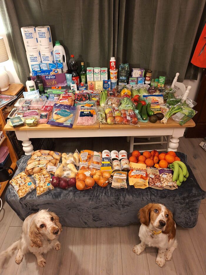 72 People Show How Much Groceries Cost In 2026 Where They Live And It’s Pretty Bad (New Pics) 72 People Show How Much Groceries Cost In 2026 Where They Live And It’s Pretty Bad (New Pics)
