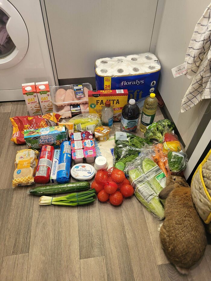 72 People Show How Much Groceries Cost In 2026 Where They Live And It’s Pretty Bad (New Pics) 72 People Show How Much Groceries Cost In 2026 Where They Live And It’s Pretty Bad (New Pics)