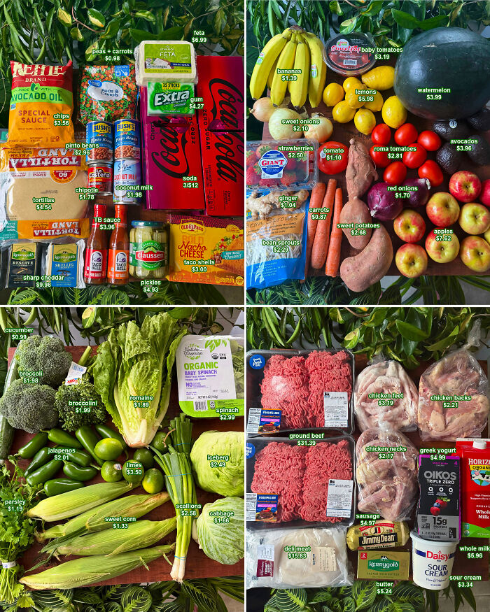 72 People Show How Much Groceries Cost In 2026 Where They Live And It’s Pretty Bad (New Pics) 72 People Show How Much Groceries Cost In 2026 Where They Live And It’s Pretty Bad (New Pics)