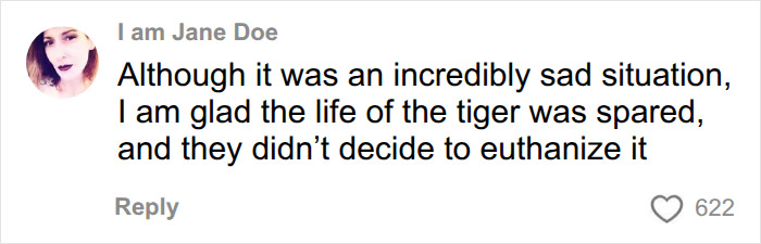 Fate Of Tiger That Mauled Man After He Entered Its Enclosure Finally Revealed Fate Of Tiger That Mauled Man After He Entered Its Enclosure Finally Revealed