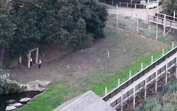 Fate Of Tiger That Mauled Man After He Entered Its Enclosure Finally Revealed Fate Of Tiger That Mauled Man After He Entered Its Enclosure Finally Revealed