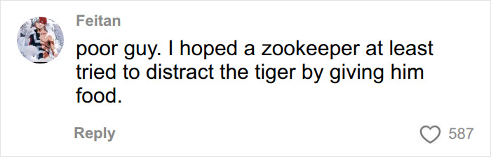 Fate Of Tiger That Mauled Man After He Entered Its Enclosure Finally Revealed Fate Of Tiger That Mauled Man After He Entered Its Enclosure Finally Revealed