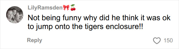 Fate Of Tiger That Mauled Man After He Entered Its Enclosure Finally Revealed Fate Of Tiger That Mauled Man After He Entered Its Enclosure Finally Revealed