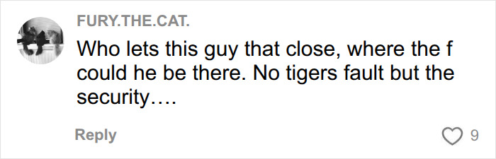 Fate Of Tiger That Mauled Man After He Entered Its Enclosure Finally Revealed Fate Of Tiger That Mauled Man After He Entered Its Enclosure Finally Revealed