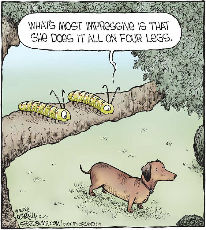 30 Clever ‘Speed Bump’ Comics That Poke Fun At People And Daily Life (New Pics) 30 Clever ‘Speed Bump’ Comics That Poke Fun At People And Daily Life (New Pics)